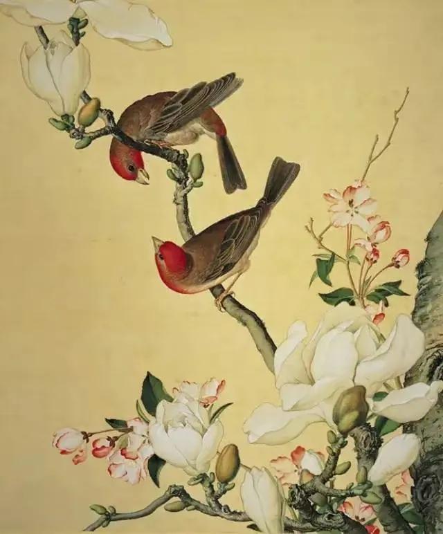 郎世宁的画作：郎世宁《仙萼长春图册》16幅画欣赏