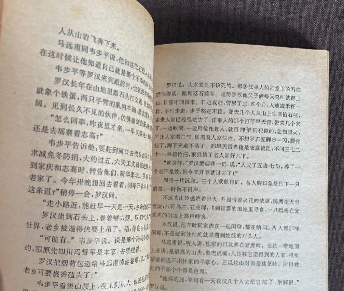 藏书：陆地《瀑布》当代长篇小说