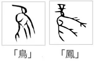 中国文物介绍及图片：西周凤鸟纹铜尊