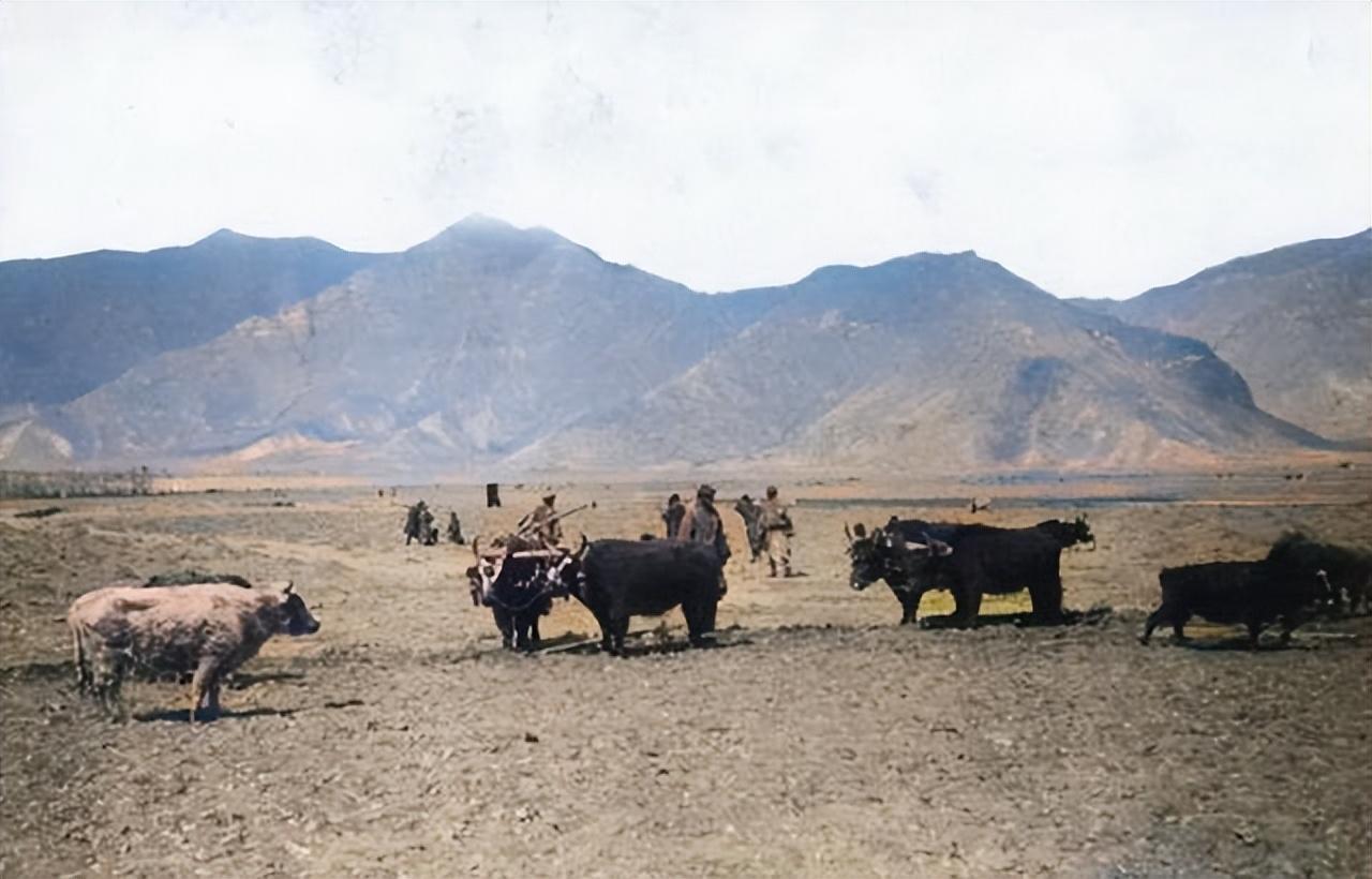 90年代西藏老照片，世界屋脊”的青藏高地的西南角