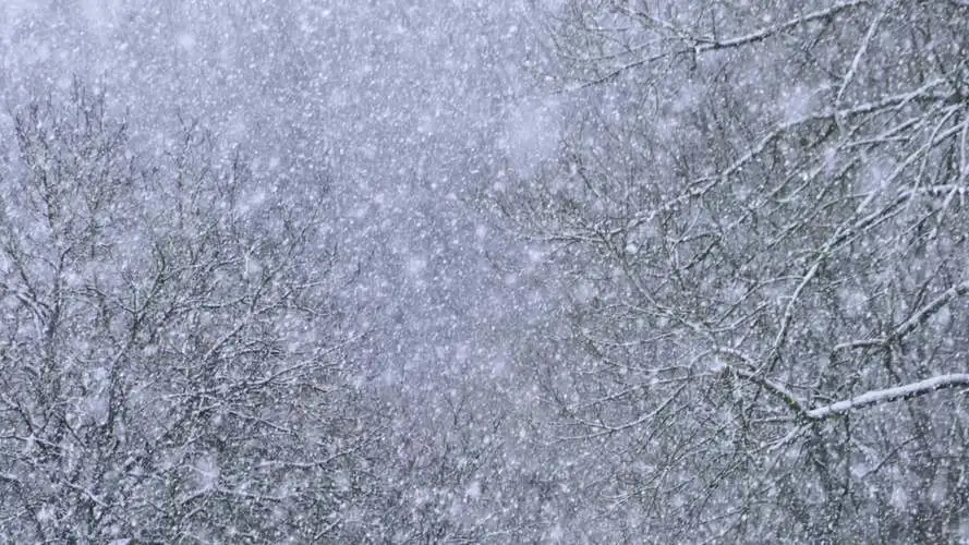 9首雅称描写大雪的诗句：大雪不止是壮丽，更是美不胜收