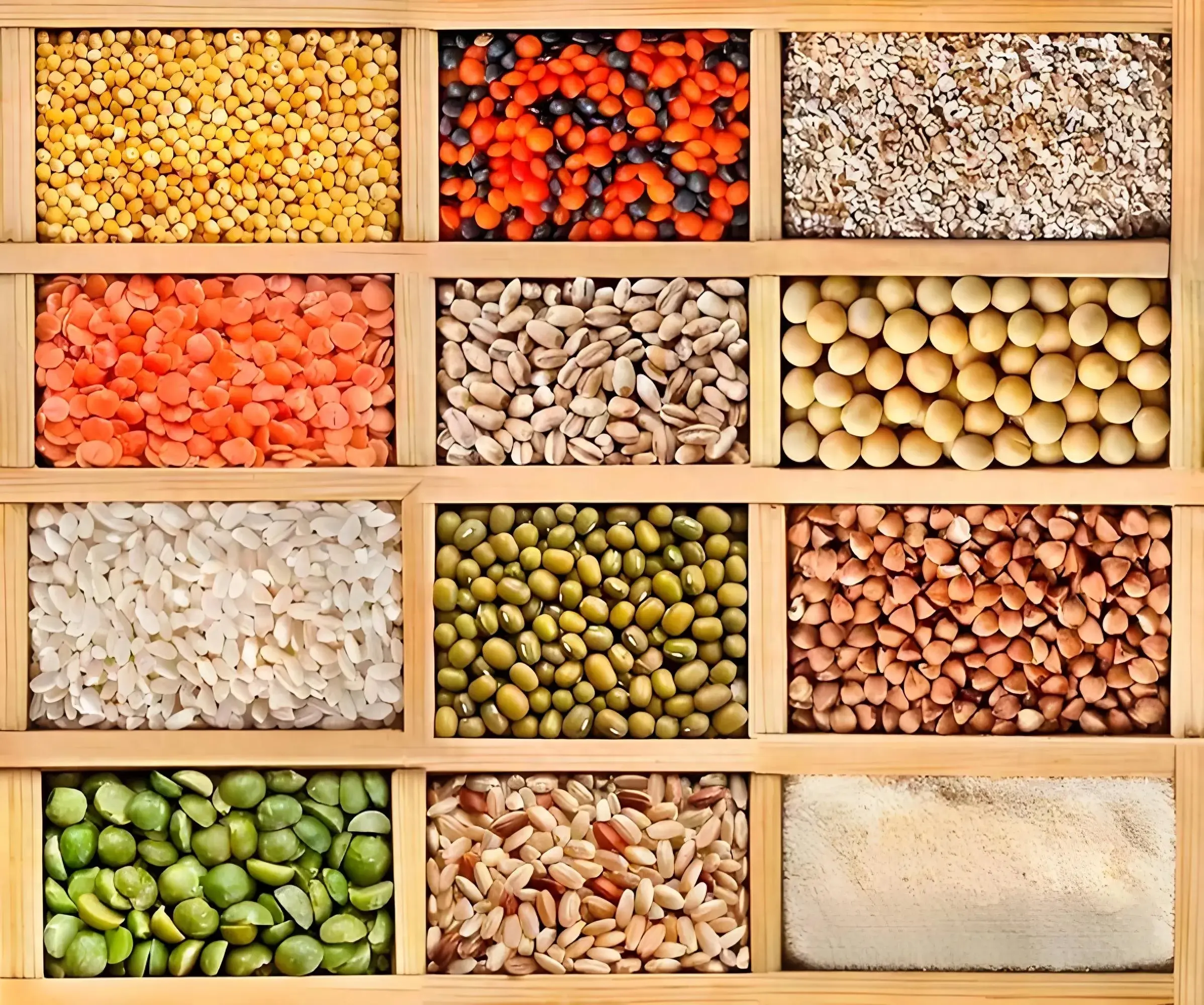 全球十大粮食作物排行榜
