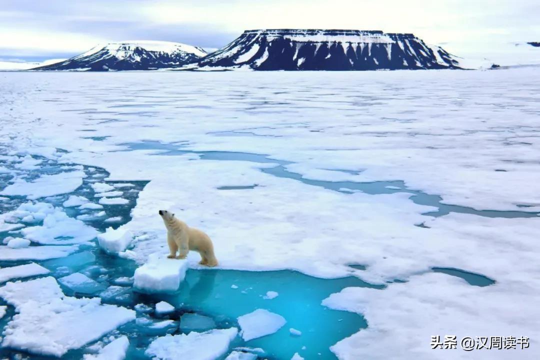 23岁女子绝境求生：北极荒岛两年史诗级挑战